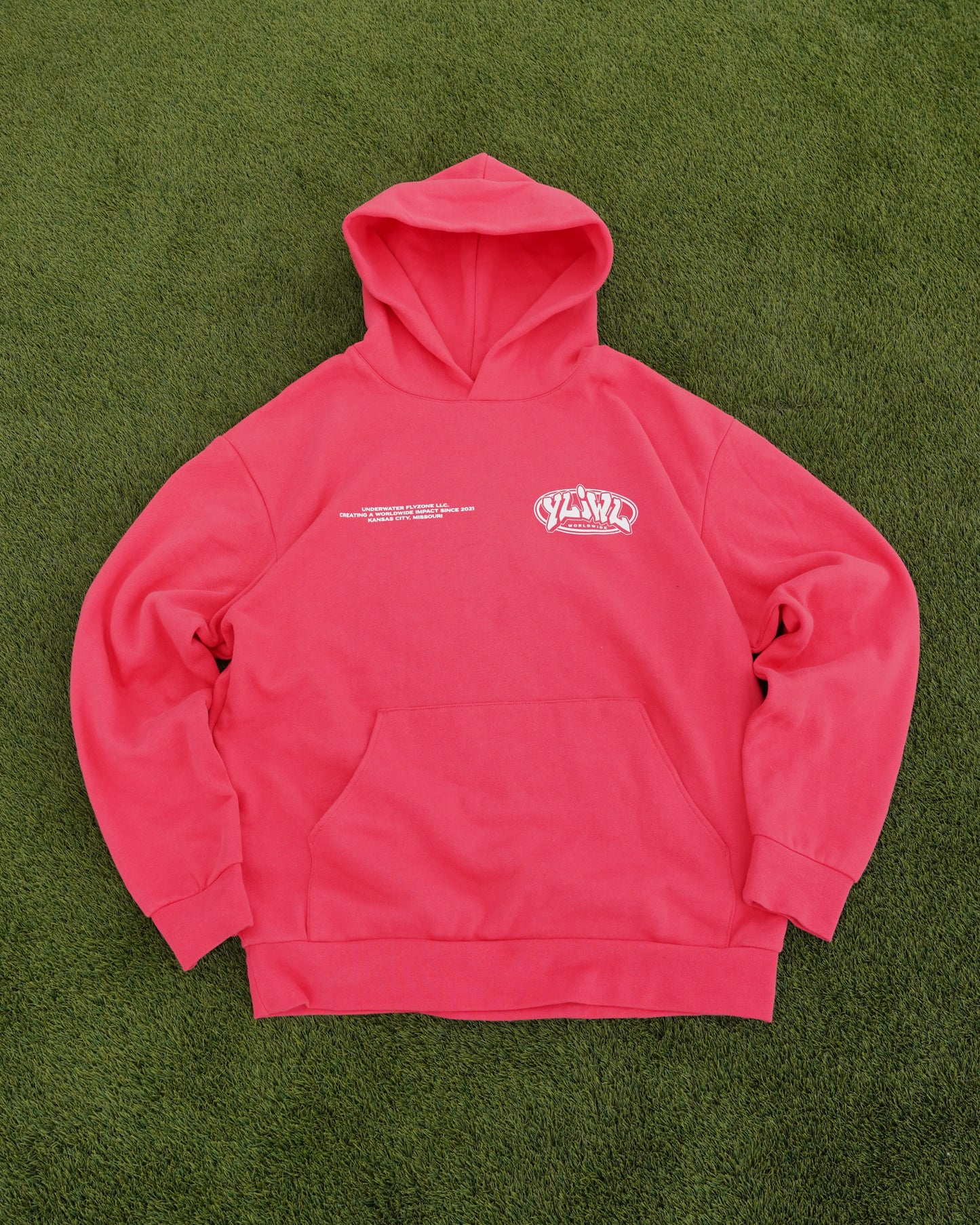 Watermelon "YOUR LIFE IS WORTH LIVING" Hoodie (Mid-Light Weight Hoodie)