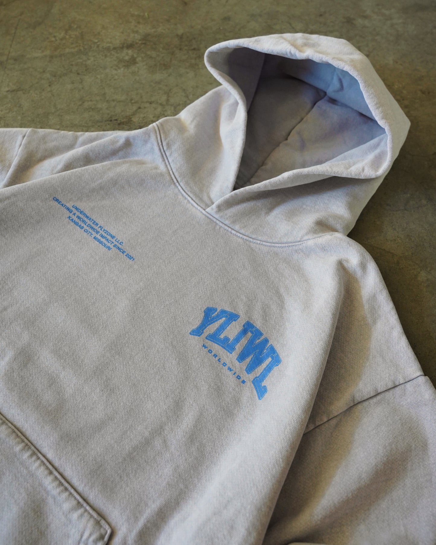 Blue + Grey Heavyweight "YOUR LIFE IS WORTH LIVING" Hoodie (Collectors Edition)