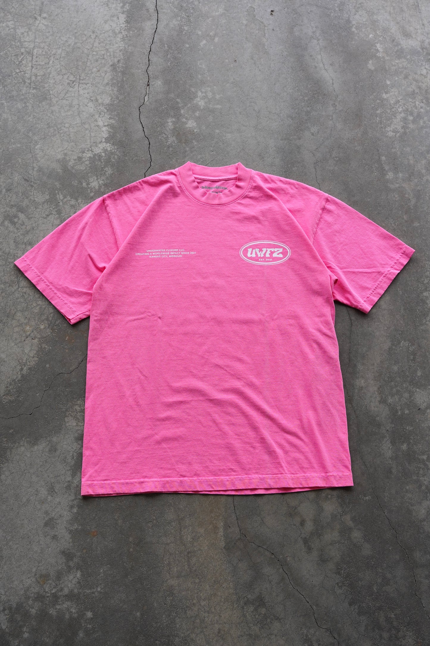 YOUR LIFE IS WORTH LIVING HEAVYWEIGHT TEE - NEON PINK