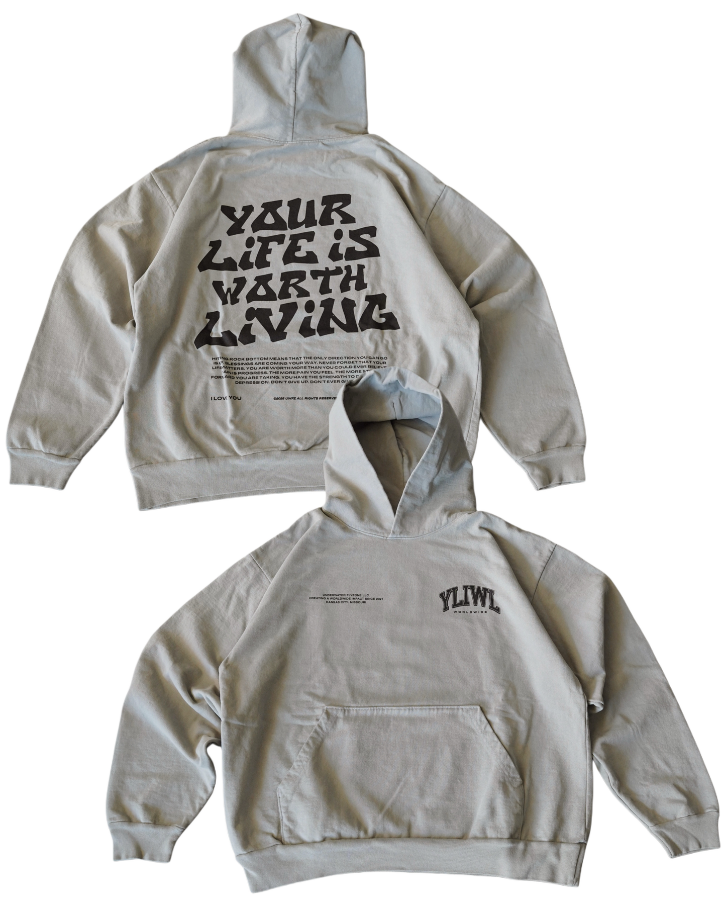 Black + Washed Sage "YOUR LIFE IS WORTH LIVING" Hoodie (Collectors Edition)
