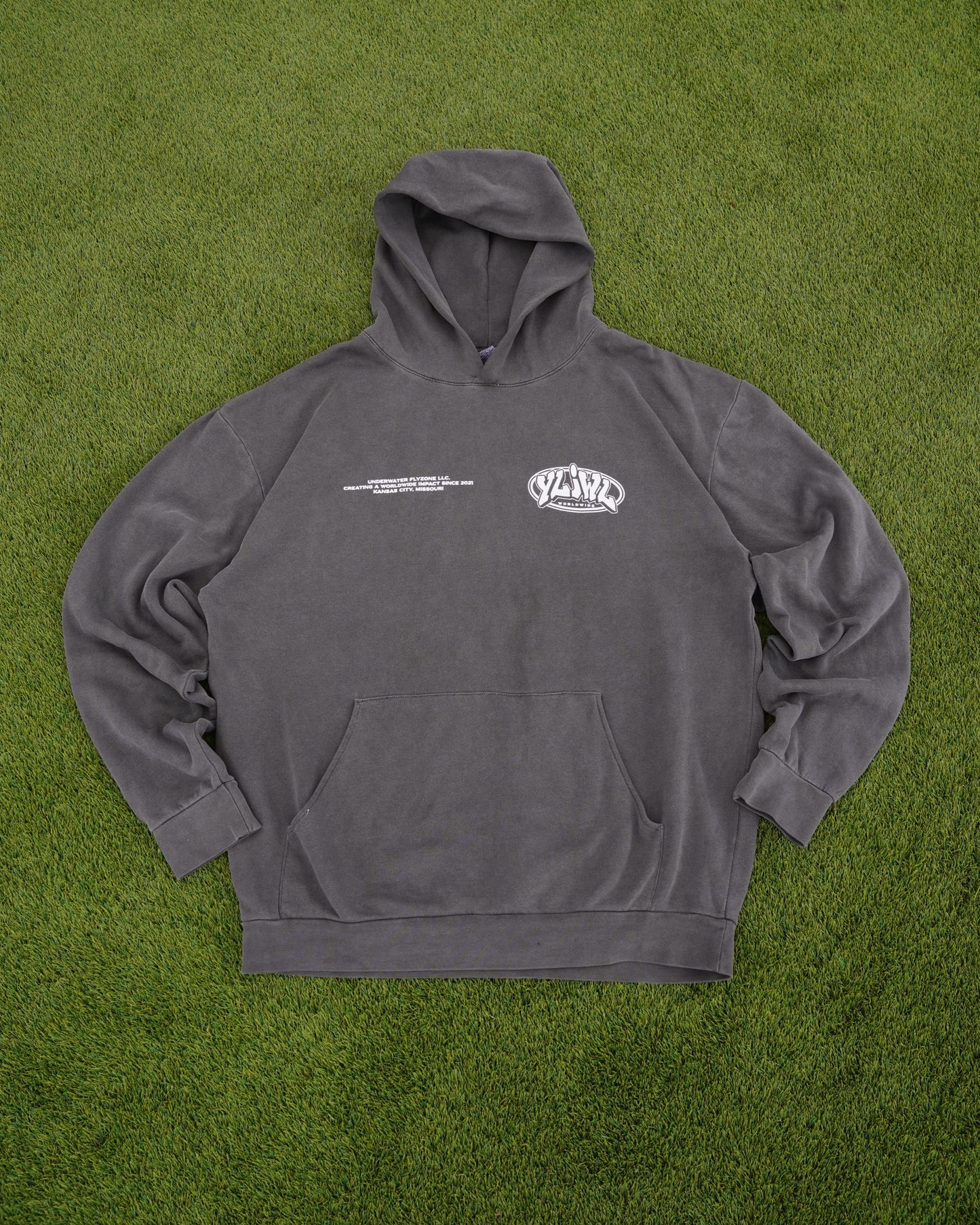 Vintage Black "YOUR LIFE IS WORTH LIVING" Hoodie (Mid-Light Weight Hoodie)