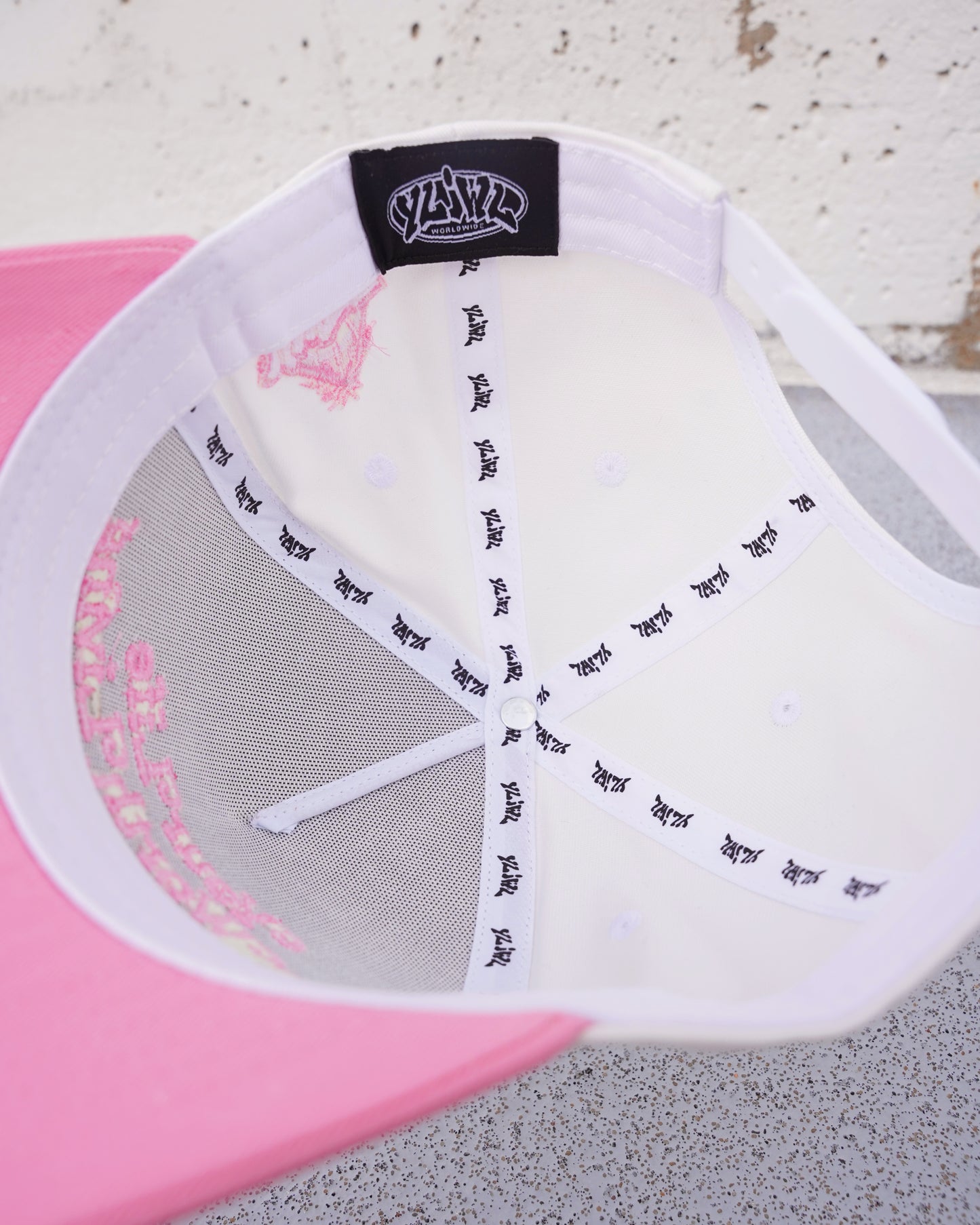 Pink + White "YOUR LIFE IS WORTH LIVING" Snapback Hat (Copy)