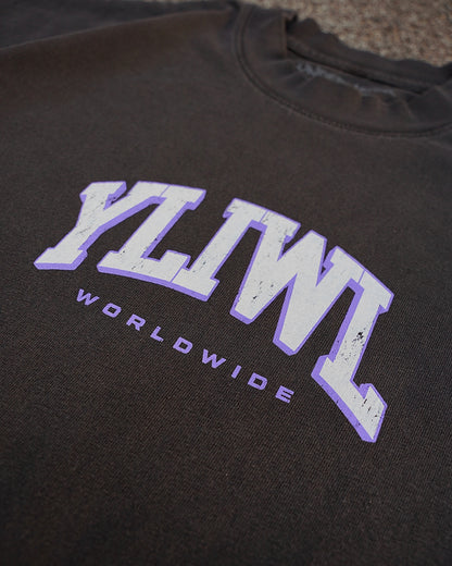 Vintage Black + Lavender DAWG "YOUR LIFE IS WORTH LIVING" Heavy Weight T-shirt