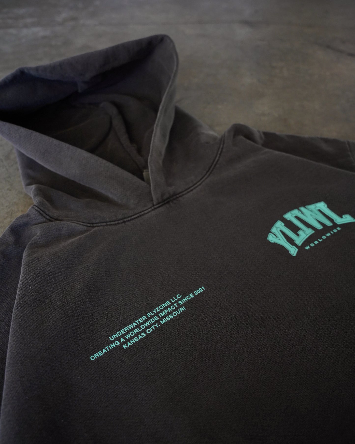 Teal + Vintage Black "YOUR LIFE IS WORTH LIVING" Hoodie (Collectors Edition)