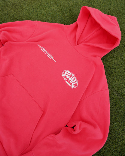 Watermelon "YOUR LIFE IS WORTH LIVING" Hoodie (Mid-Light Weight Hoodie)