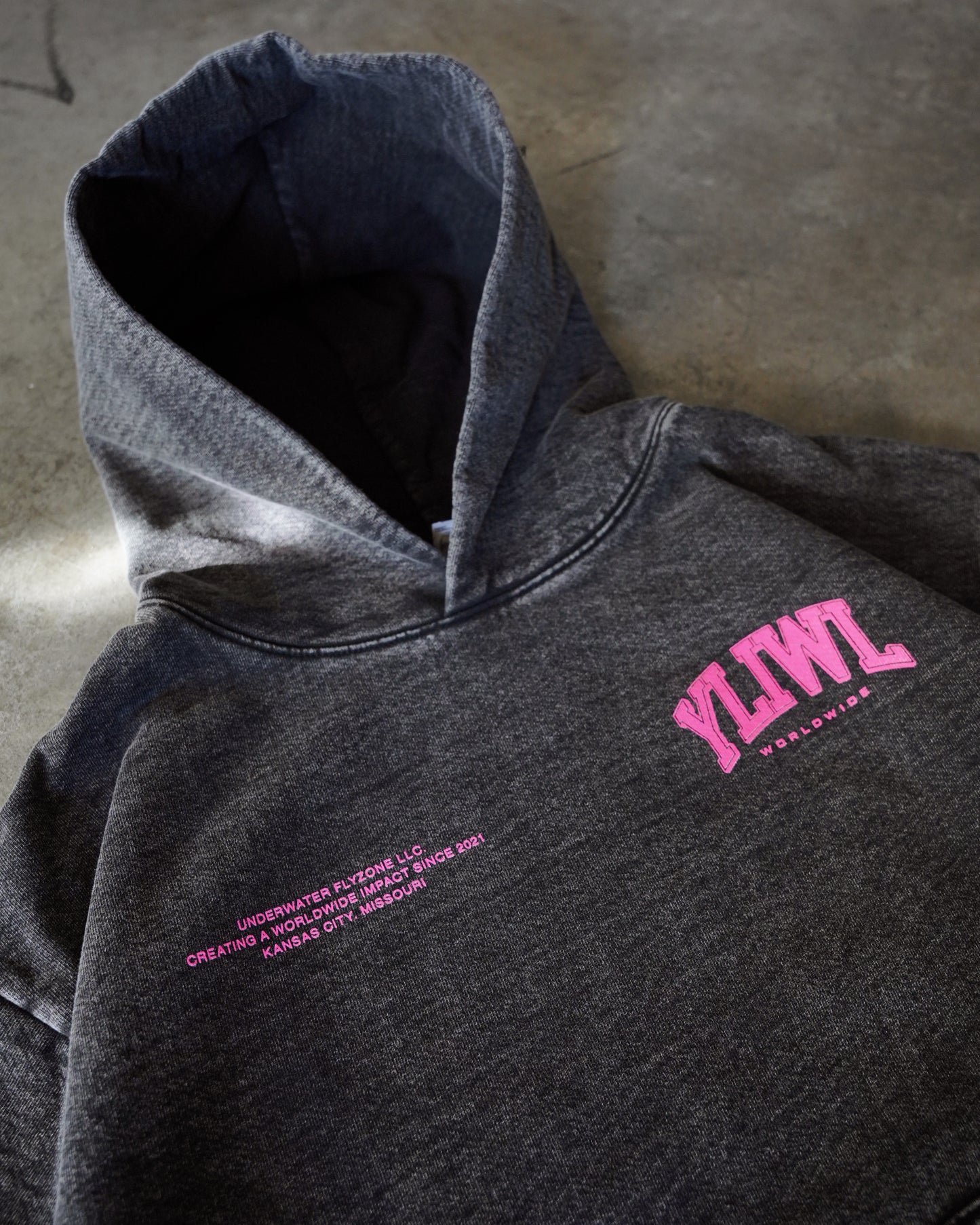 Pink + Mineral Wash Black "YOUR LIFE IS WORTH LIVING" Hoodie (Collectors Edition)