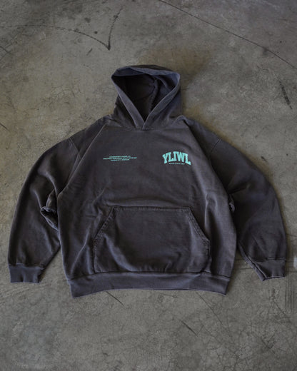 Teal + Vintage Black "YOUR LIFE IS WORTH LIVING" Hoodie (Collectors Edition)