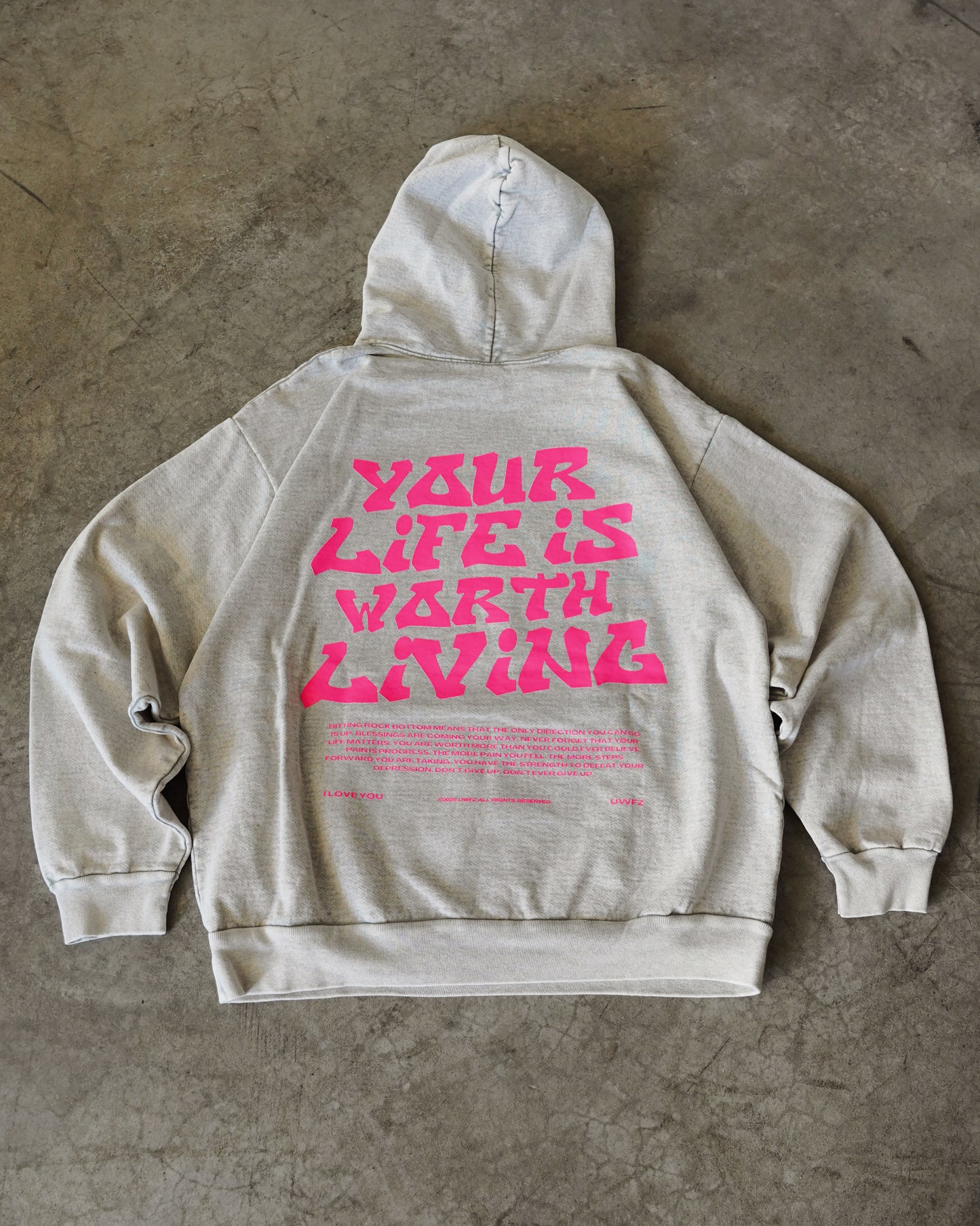 Pink + Limestone Heavyweight "YOUR LIFE IS WORTH LIVING" Hoodie (Collectors Edition)