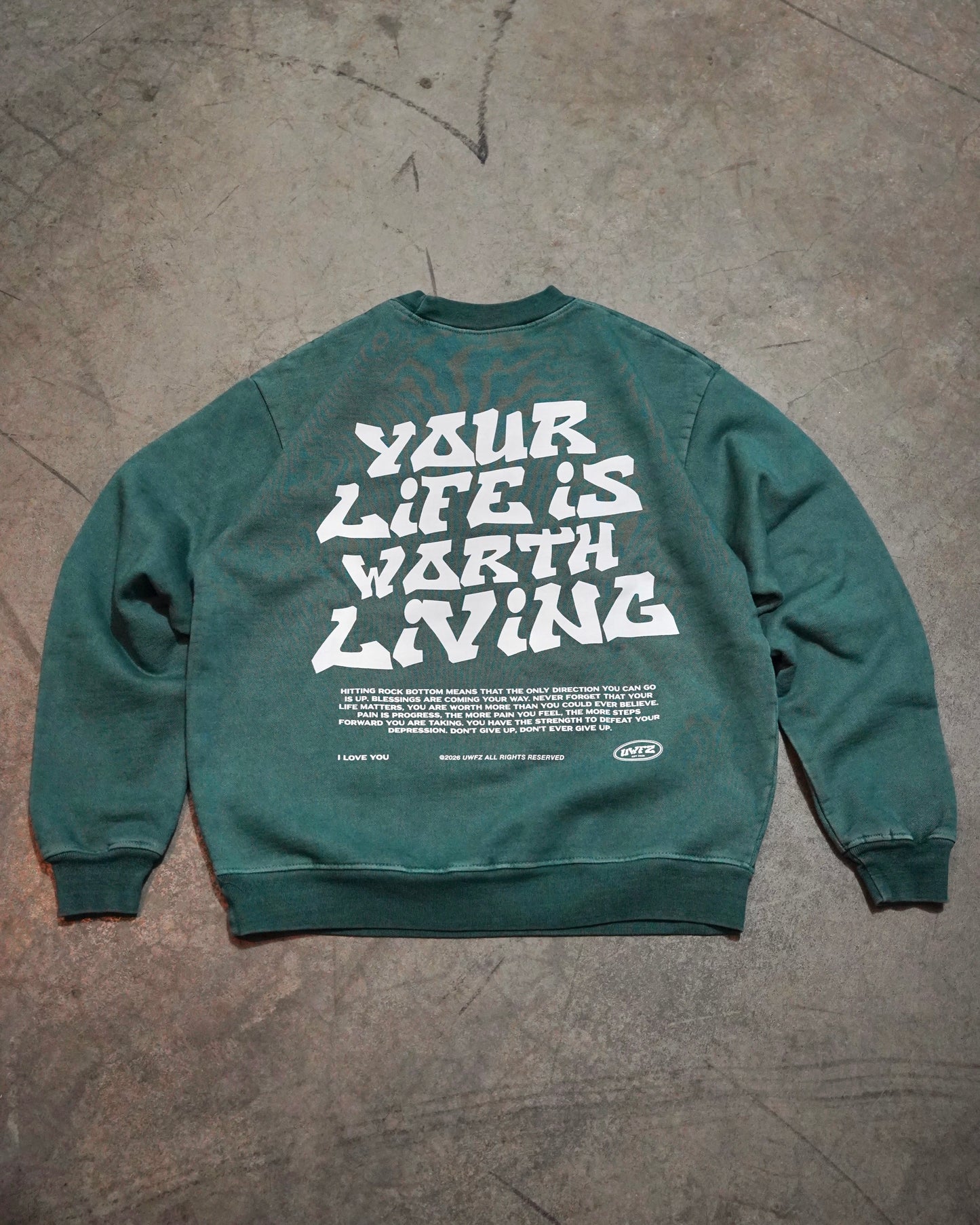 Faded Sage "YOUR LIFE IS WORTH LIVING" Crewneck