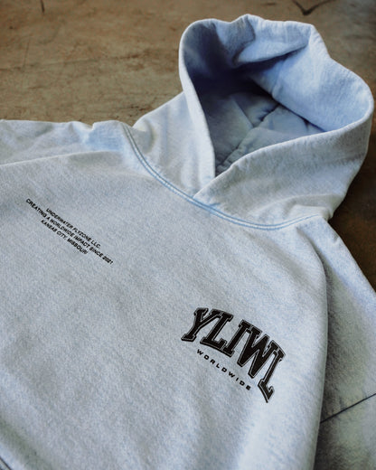 Black + Arctic Blue "YOUR LIFE IS WORTH LIVING" Hoodie (Collectors Edition)