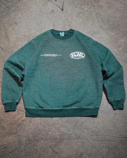 Faded Sage "YOUR LIFE IS WORTH LIVING" Crewneck