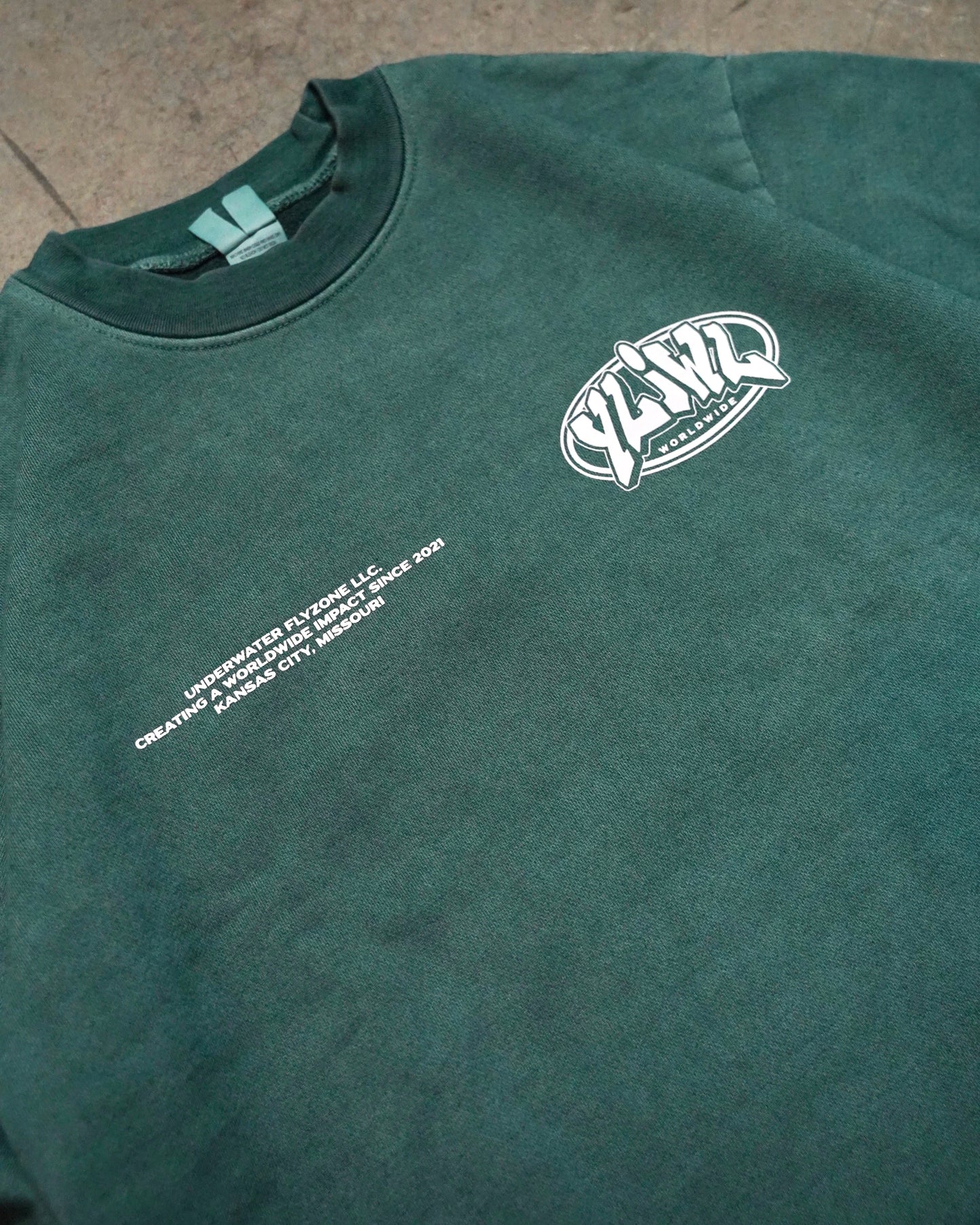 Faded Sage "YOUR LIFE IS WORTH LIVING" Crewneck