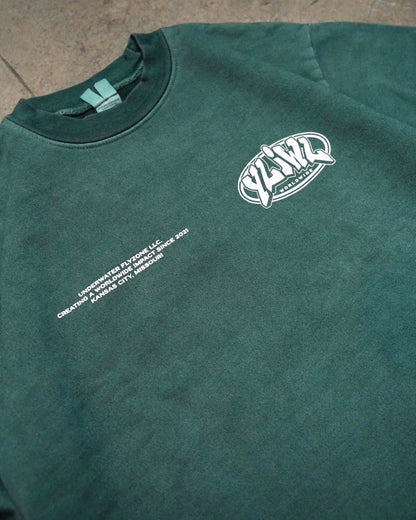 Faded Sage "YOUR LIFE IS WORTH LIVING" Crewneck