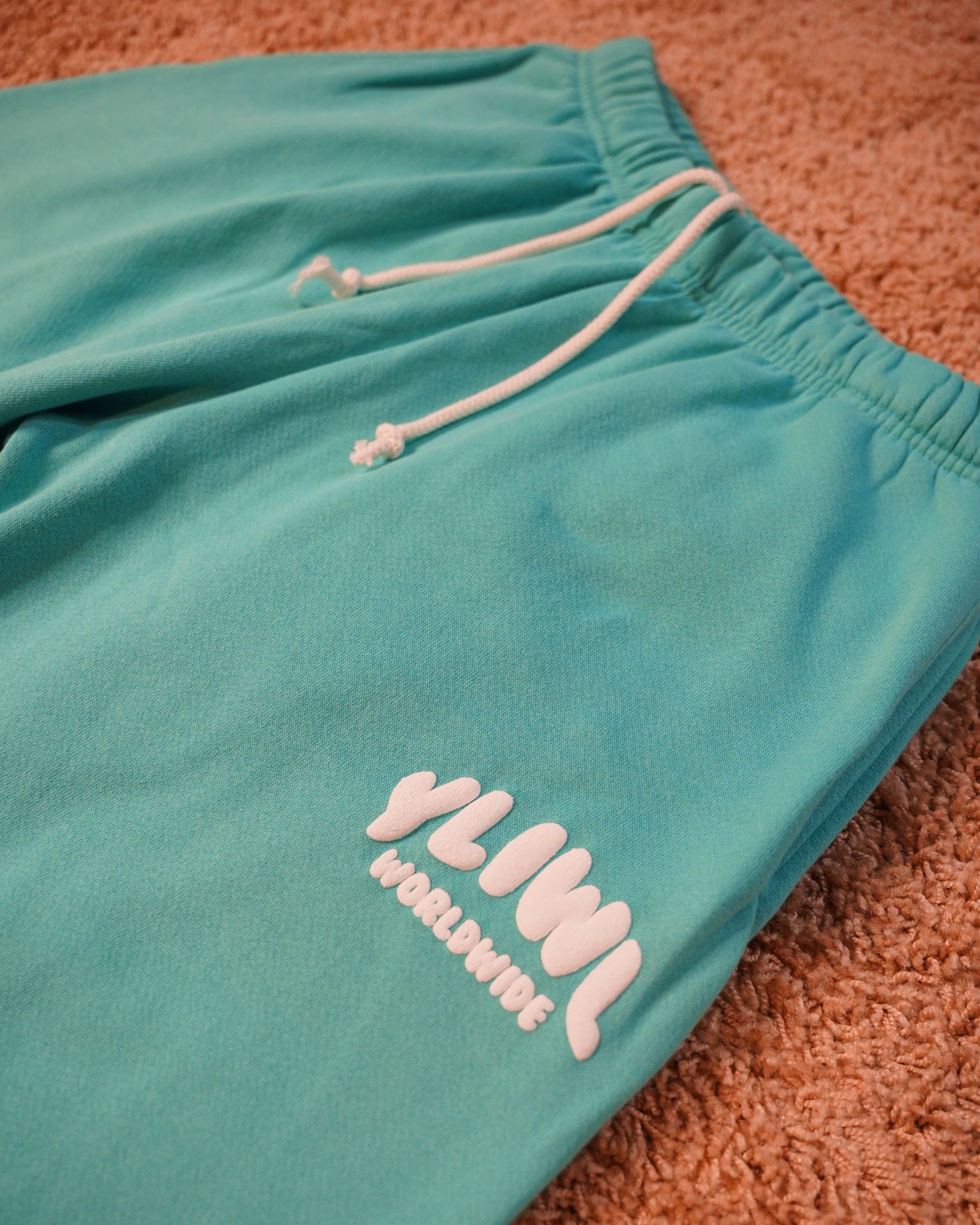 Teal + White PUFF PRINT "YLIWL" High Waist Sweatpant