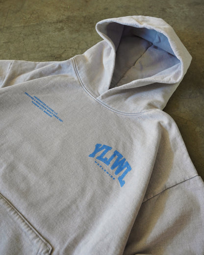 Blue + Grey Heavyweight "YOUR LIFE IS WORTH LIVING" Hoodie (Collectors Edition)