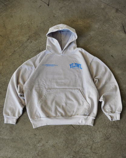 Blue + Grey Heavyweight "YOUR LIFE IS WORTH LIVING" Hoodie (Collectors Edition)