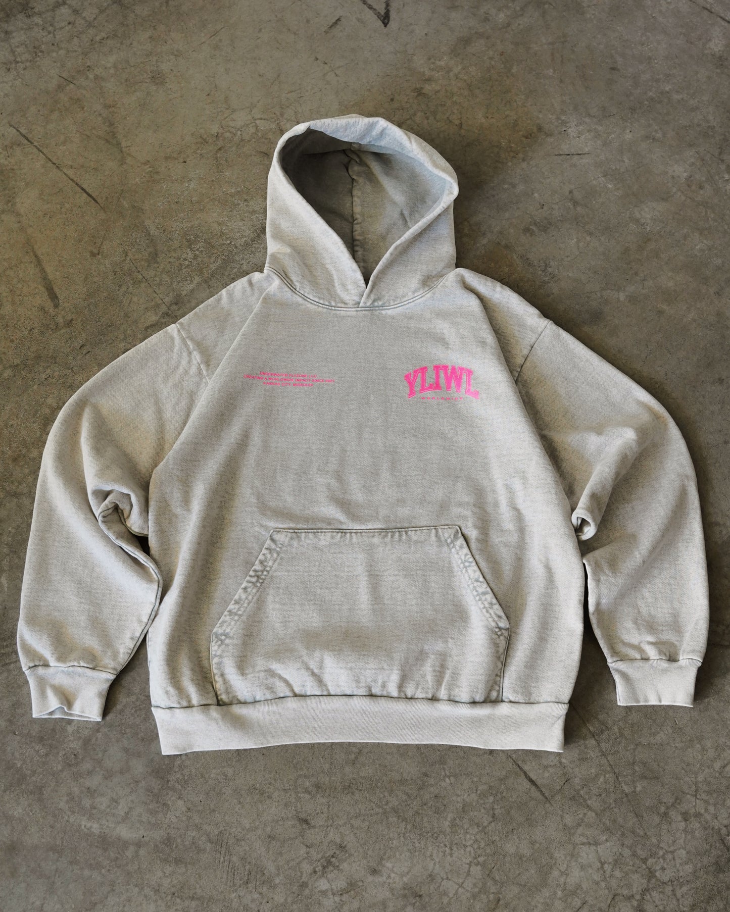 Pink + Limestone Heavyweight "YOUR LIFE IS WORTH LIVING" Hoodie (Collectors Edition)