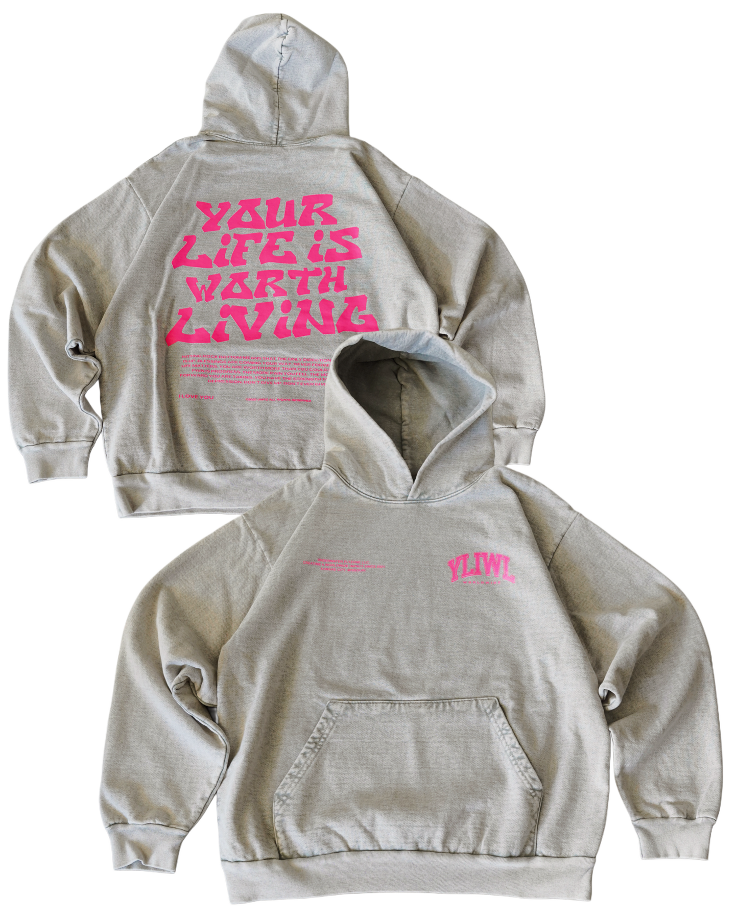 Pink + Limestone Heavyweight "YOUR LIFE IS WORTH LIVING" Hoodie (Collectors Edition)