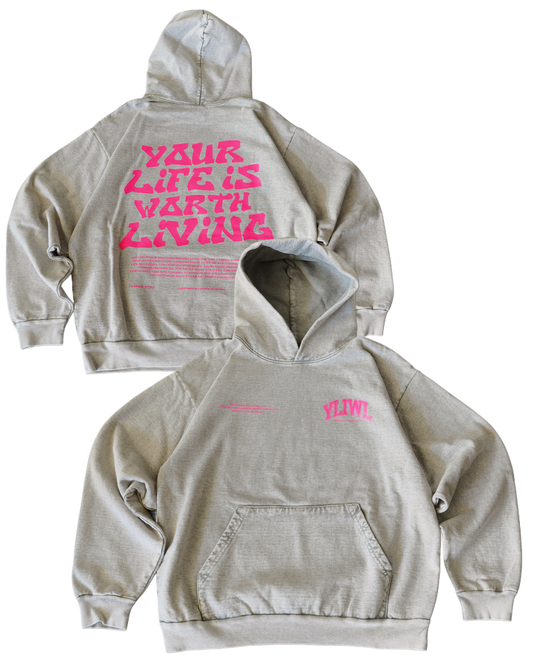 Pink + Limestone Heavyweight "YOUR LIFE IS WORTH LIVING" Hoodie (Collectors Edition)