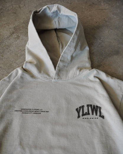 Black + Washed Sage "YOUR LIFE IS WORTH LIVING" Hoodie (Collectors Edition)