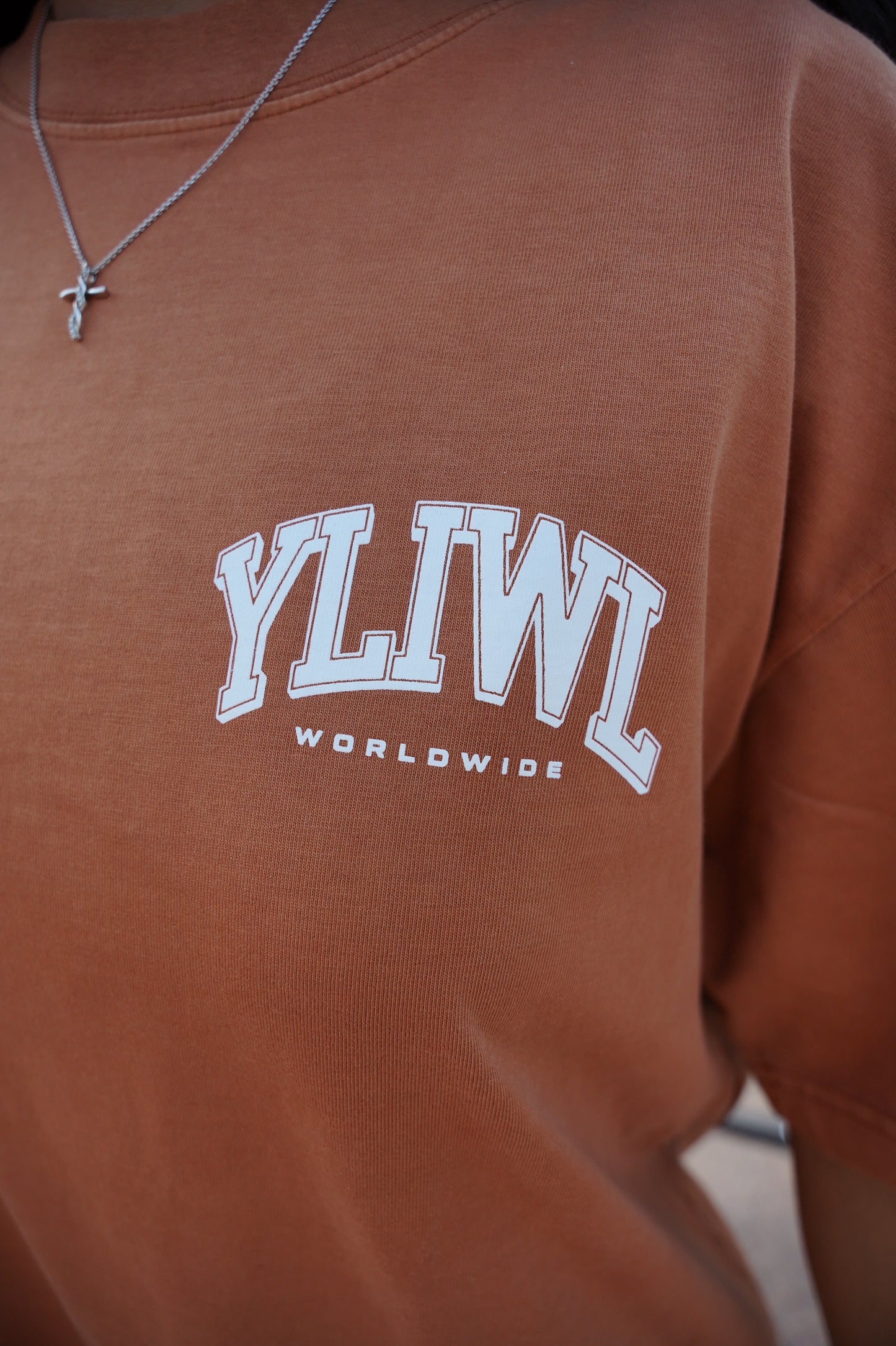 Burnt Orange + White "YOUR LIFE IS WORTH LIVING" Heavy Weight T-Shirt