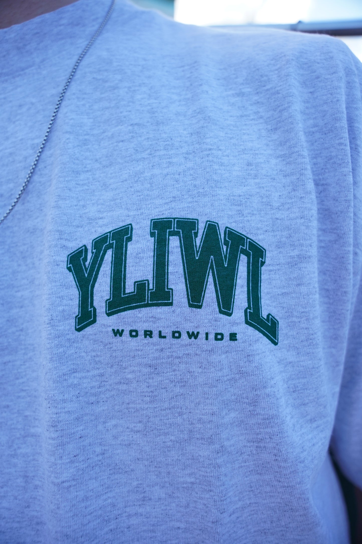 Ash Grey + Green "YOUR LIFE IS WORTH LIVING" Heavy Weight T-Shirt