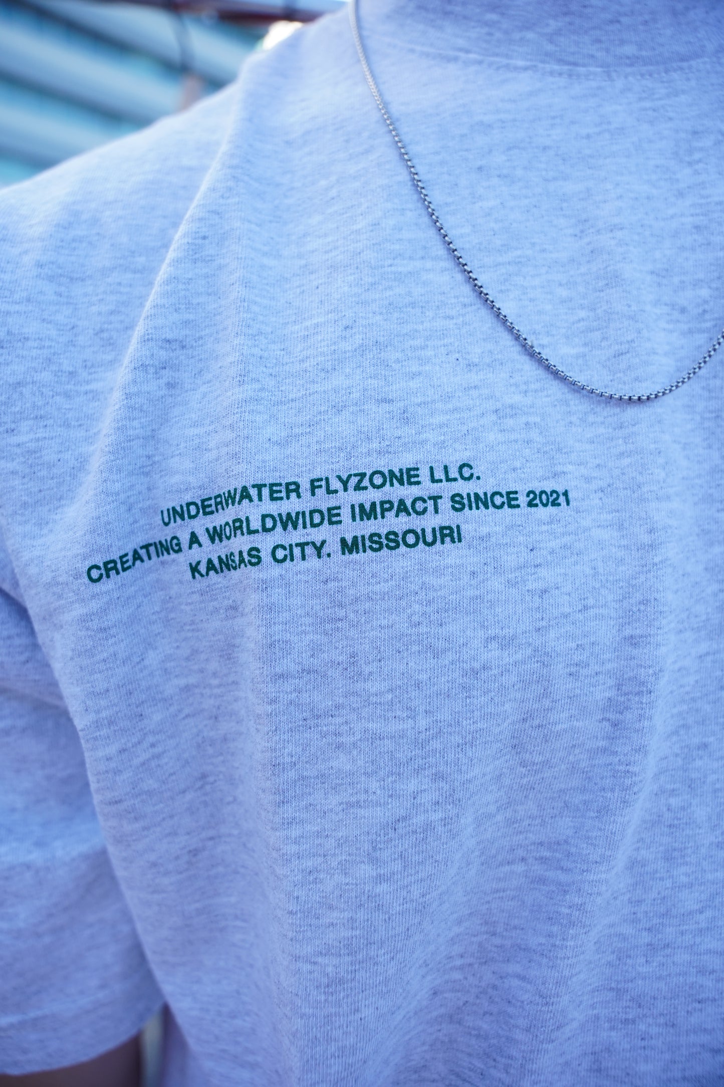 Ash Grey + Green "YOUR LIFE IS WORTH LIVING" Heavy Weight T-Shirt