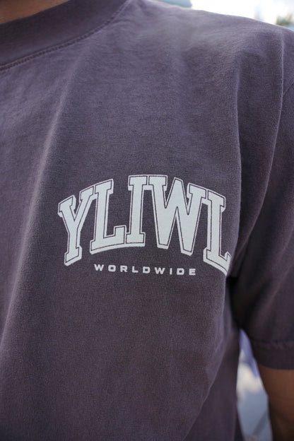Vintage Brown + Cream "YOUR LIFE IS WORTH LIVING" Heavy Weight T-Shirt