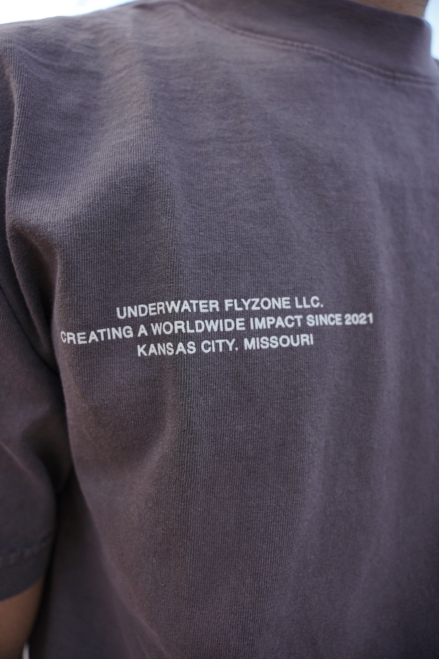 Vintage Brown + Cream "YOUR LIFE IS WORTH LIVING" Heavy Weight T-Shirt