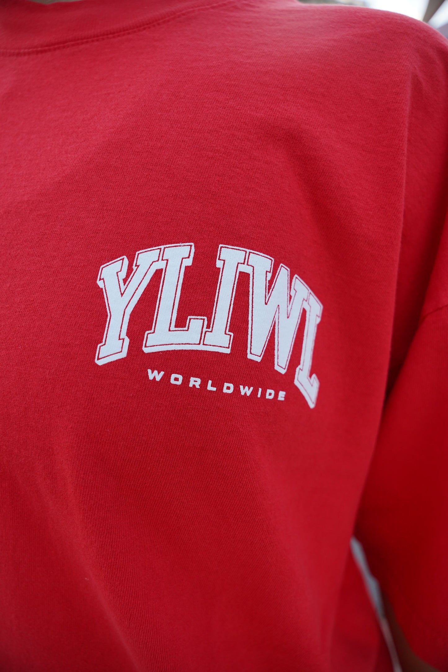 Red + White "YOUR LIFE IS WORTH LIVING" Heavy Weight T-Shirt