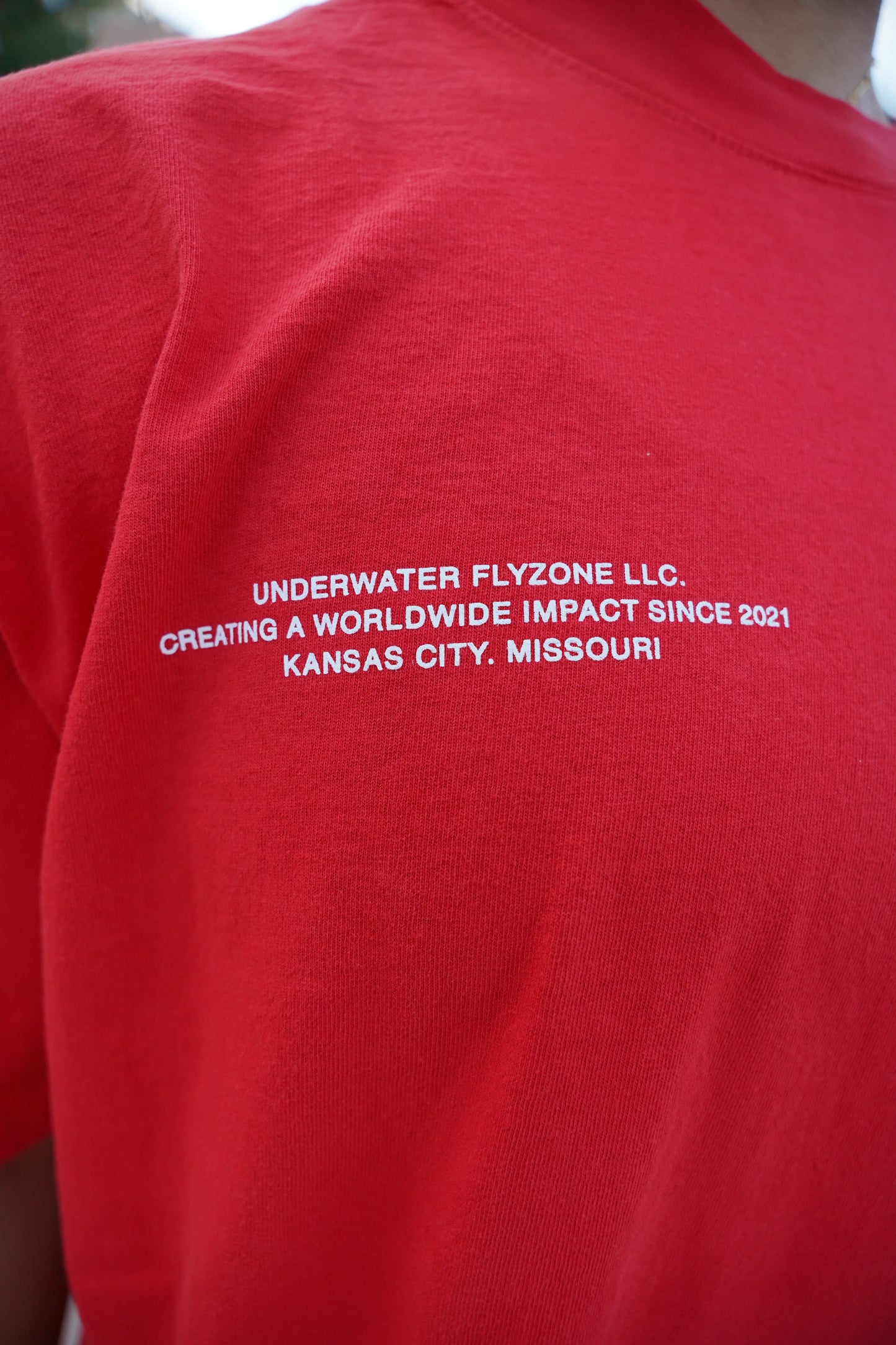 Red + White "YOUR LIFE IS WORTH LIVING" Heavy Weight T-Shirt