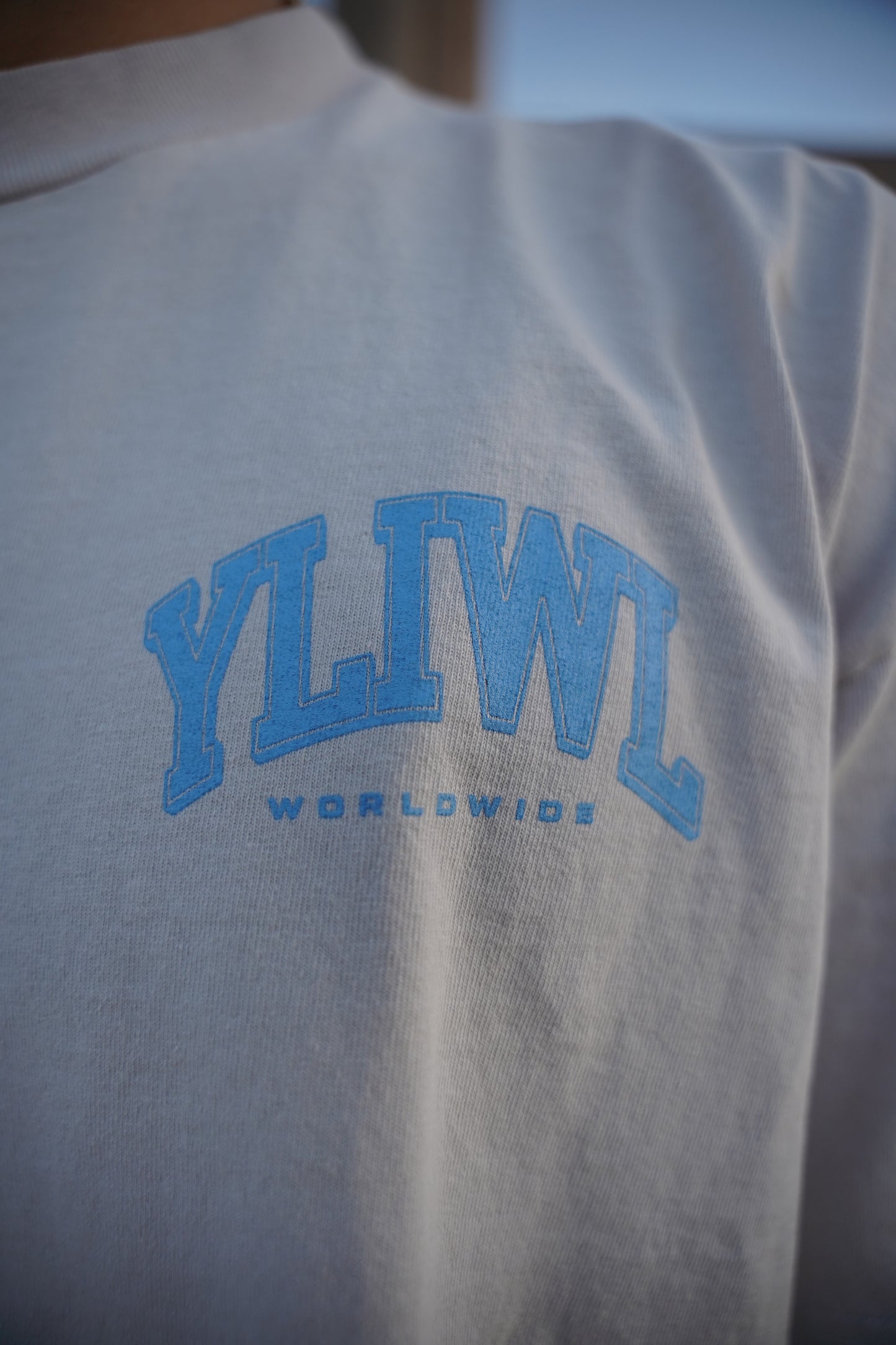 Grey + Powder Blue "YOUR LIFE IS WORTH LIVING" Boxy / Crop Cut Heavy Weight T-shirt