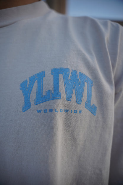 Grey + Powder Blue "YOUR LIFE IS WORTH LIVING" Boxy / Crop Cut Heavy Weight T-shirt
