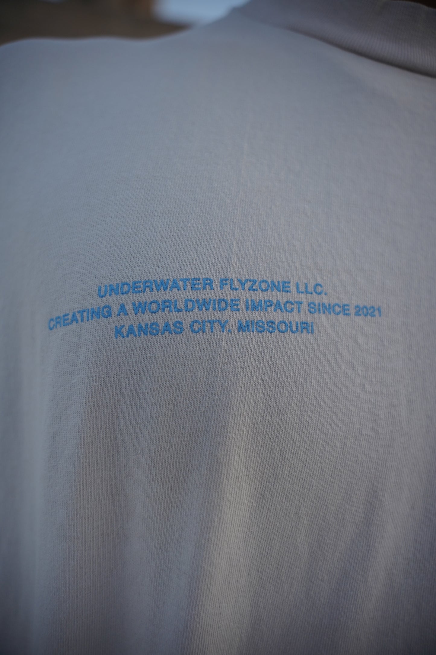 Grey + Powder Blue "YOUR LIFE IS WORTH LIVING" Boxy / Crop Cut Heavy Weight T-shirt