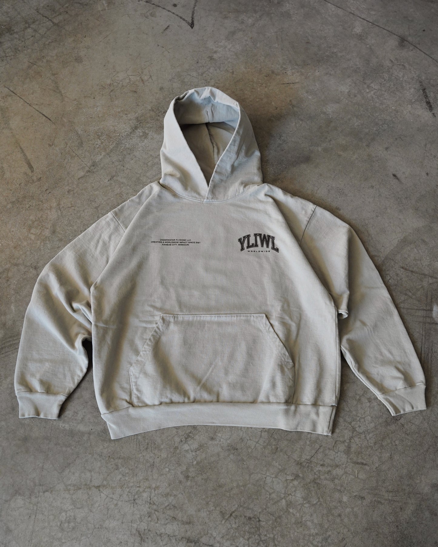 Black + Washed Sage "YOUR LIFE IS WORTH LIVING" Hoodie (Collectors Edition)