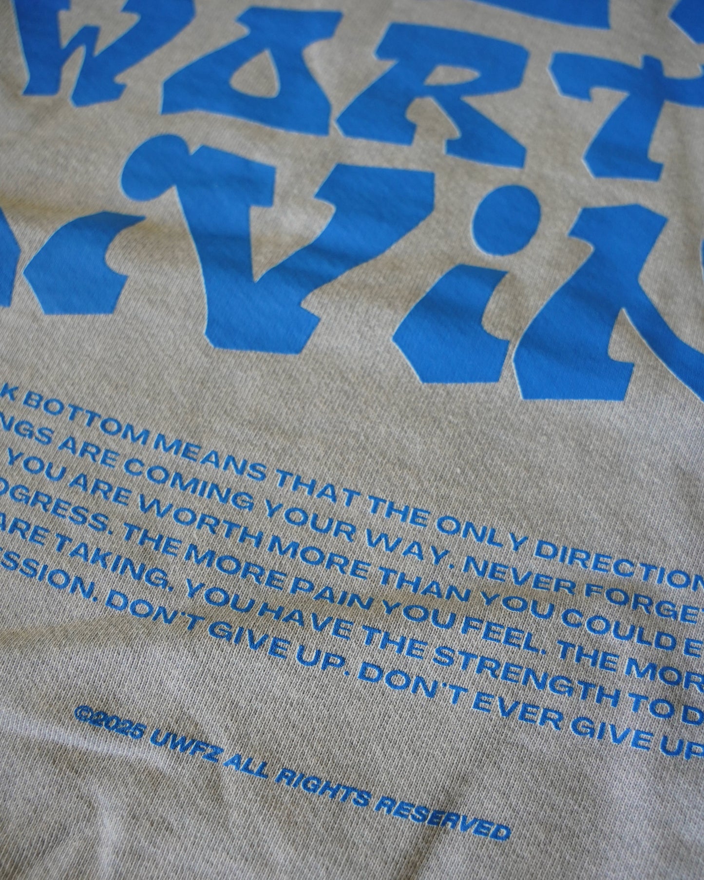Blue + Grey Heavyweight "YOUR LIFE IS WORTH LIVING" Hoodie (Collectors Edition)