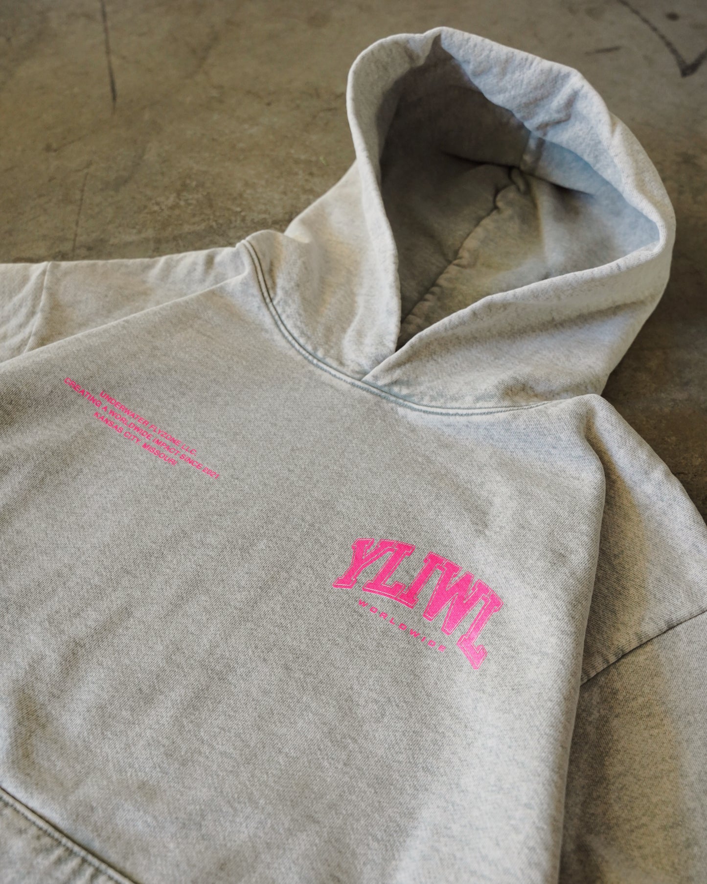Pink + Limestone Heavyweight "YOUR LIFE IS WORTH LIVING" Hoodie (Collectors Edition)