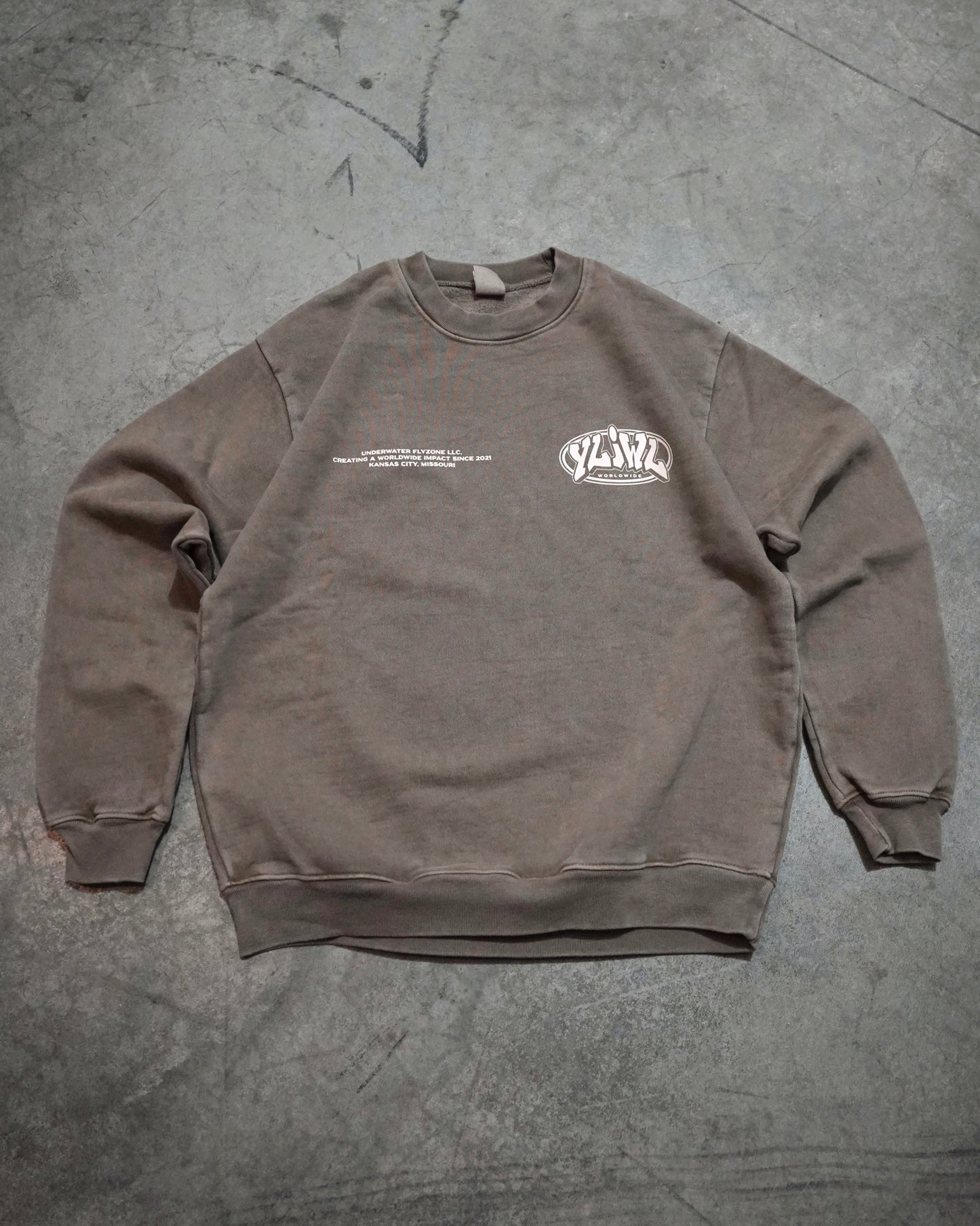 Faded Brown +.Tan Print "YOUR LIFE IS WORTH LIVING" Crewneck