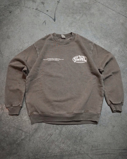 Faded Brown +.Tan Print "YOUR LIFE IS WORTH LIVING" Crewneck