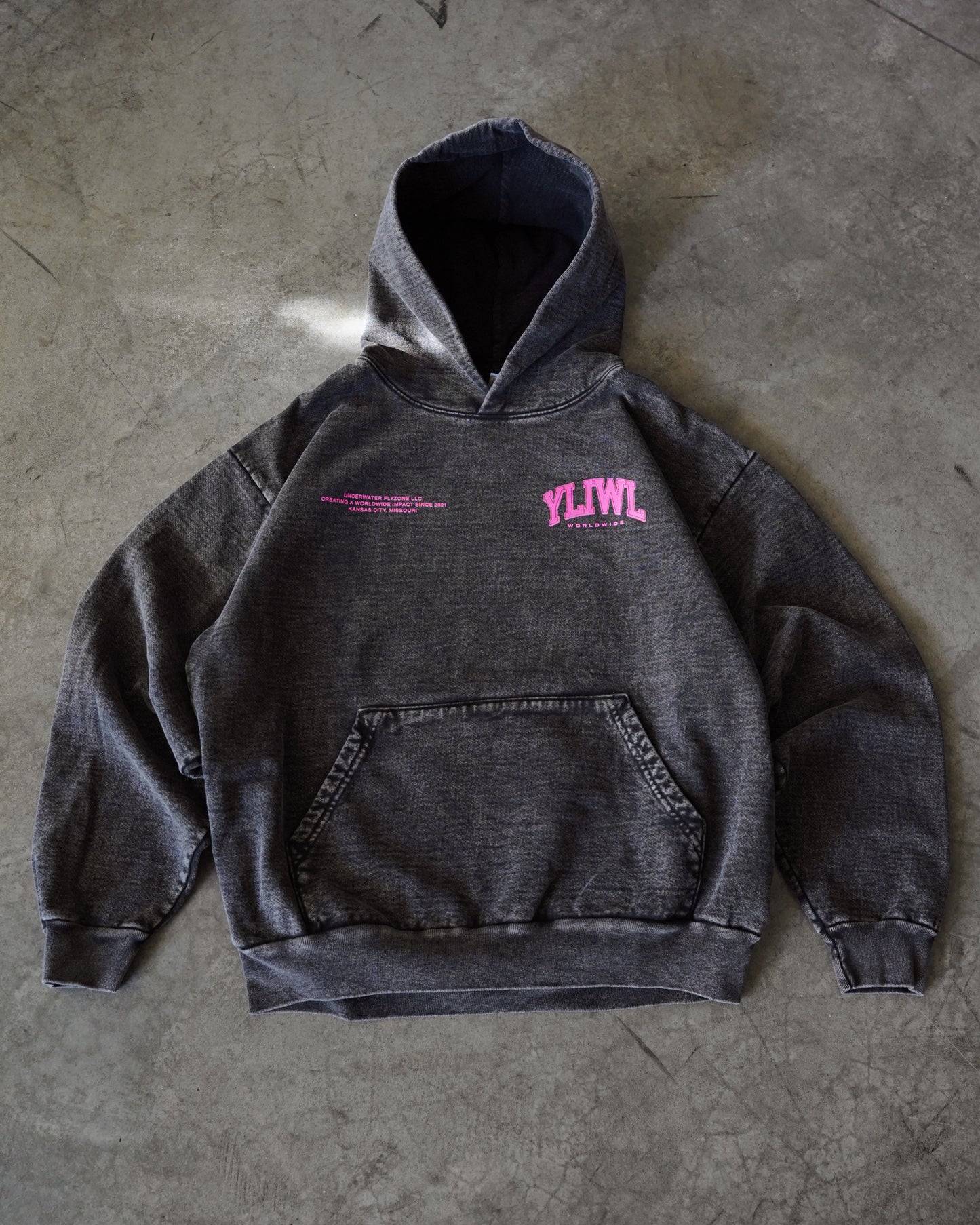 Pink + Mineral Wash Black "YOUR LIFE IS WORTH LIVING" Hoodie (Collectors Edition)